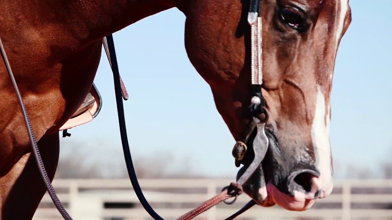 Hay Goodlookn 2020 Hype Video