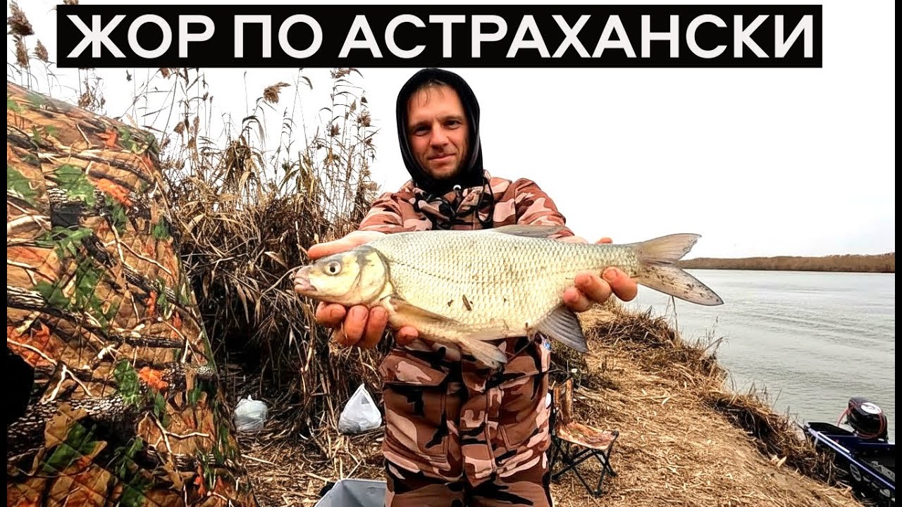 БЕШЕНЫЙ КЛЁВ БЕЛОЙ РЫБЫ. Рыбалка с ночёвкой на донки
