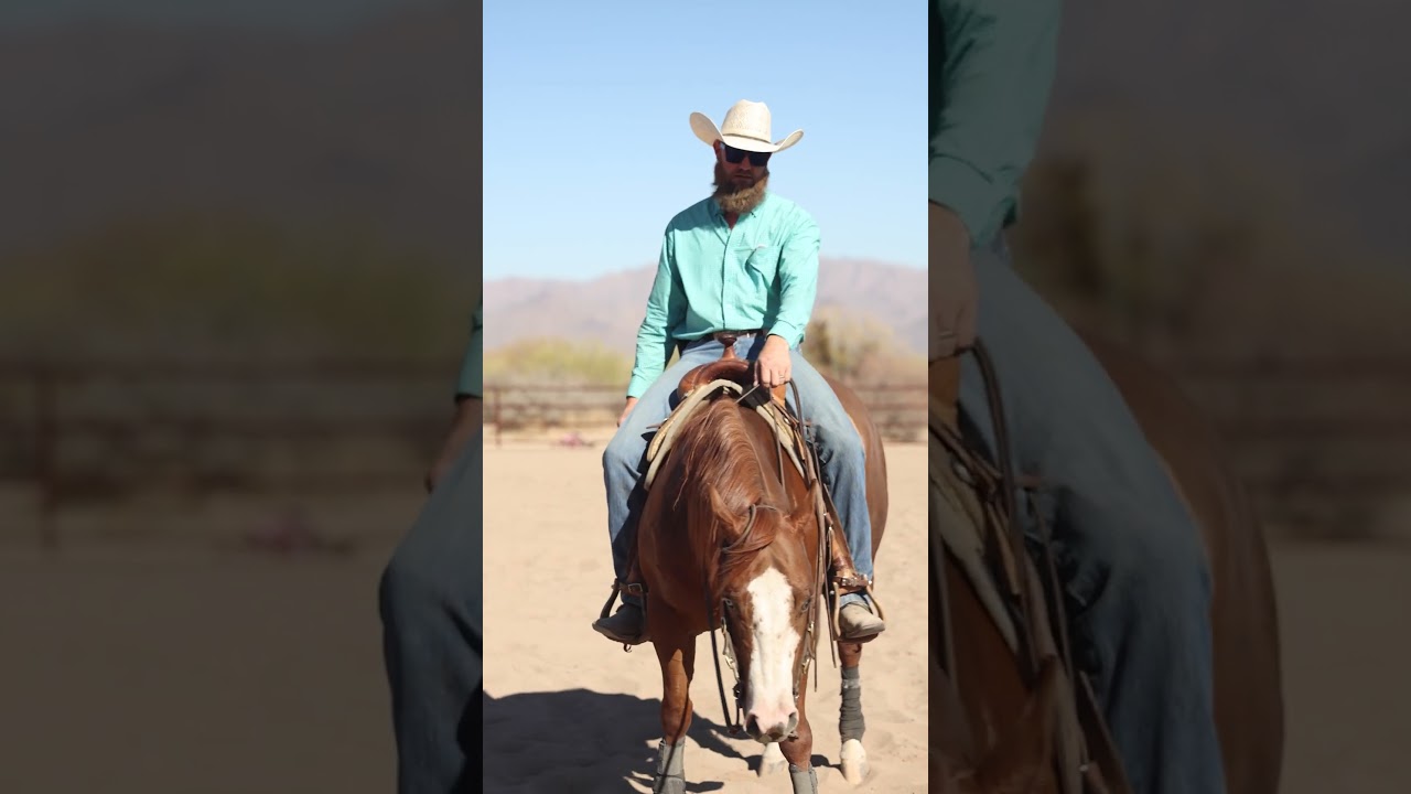 Do you know how simple neck reining really is? #reiningmasterclass #reining