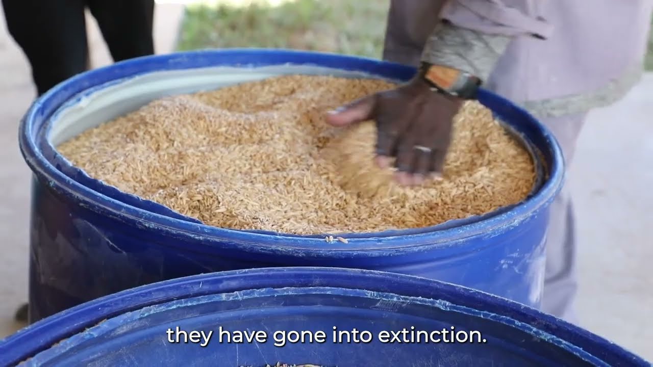 A New Way of Farming at Kasisi Agricultural Training Centre