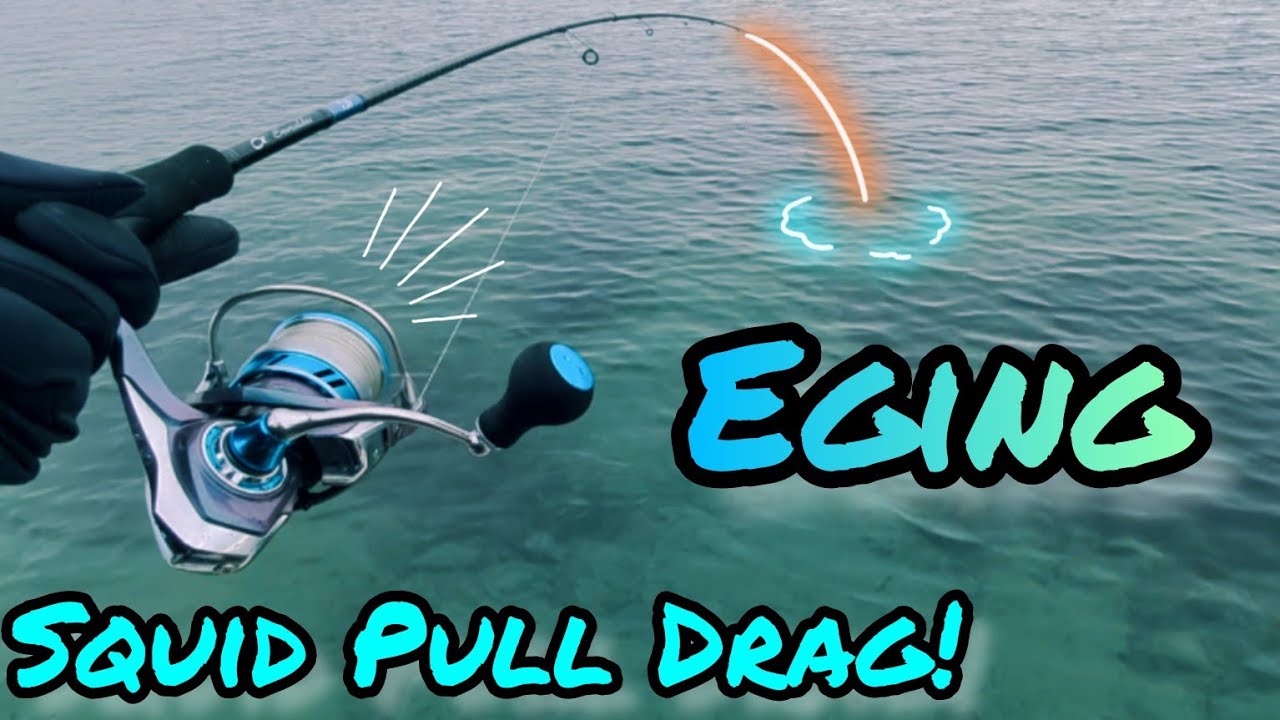 Squid Fishing - Corio Bay Squid/Eging #fishing #eging Daiwa Emeraldas