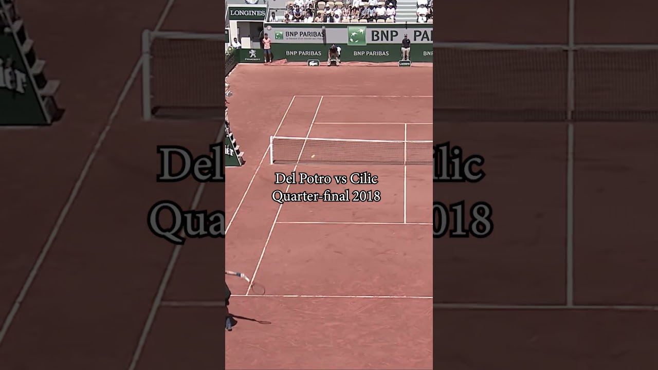 Pure technique by Juan Mart&iacute;n del Potro 🎾