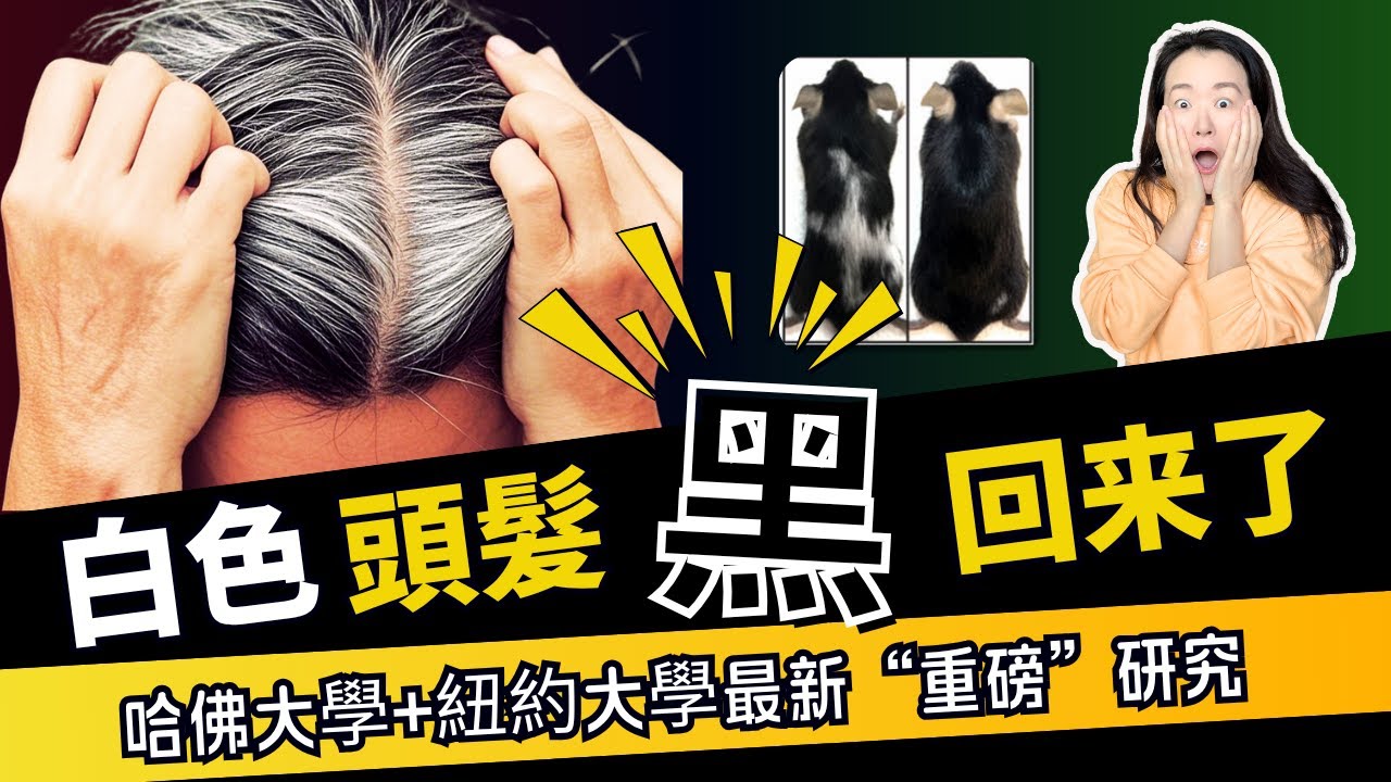 2025重磅白髮研究 |做到4點，白頭髮變回黑頭髮