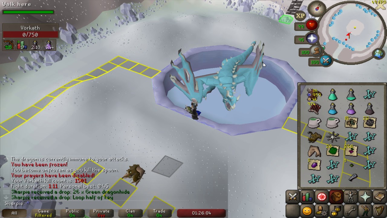 OSRS Consistent 5-7 kills a trip at Vorkath