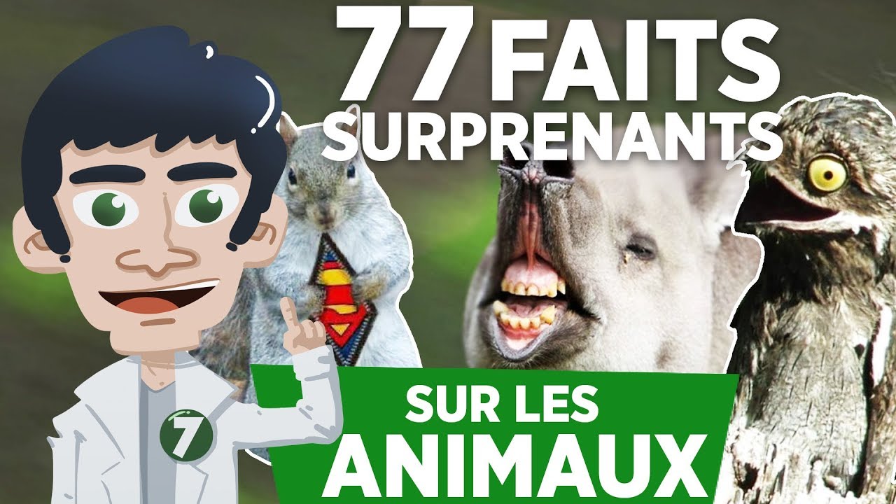 77 FAITS SURPRENANTS SUR LES ANIMAUX