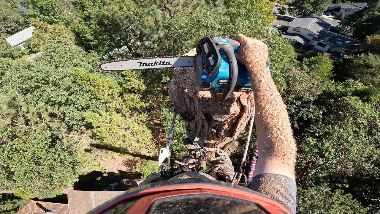 Makita Top Handle Chainsaw