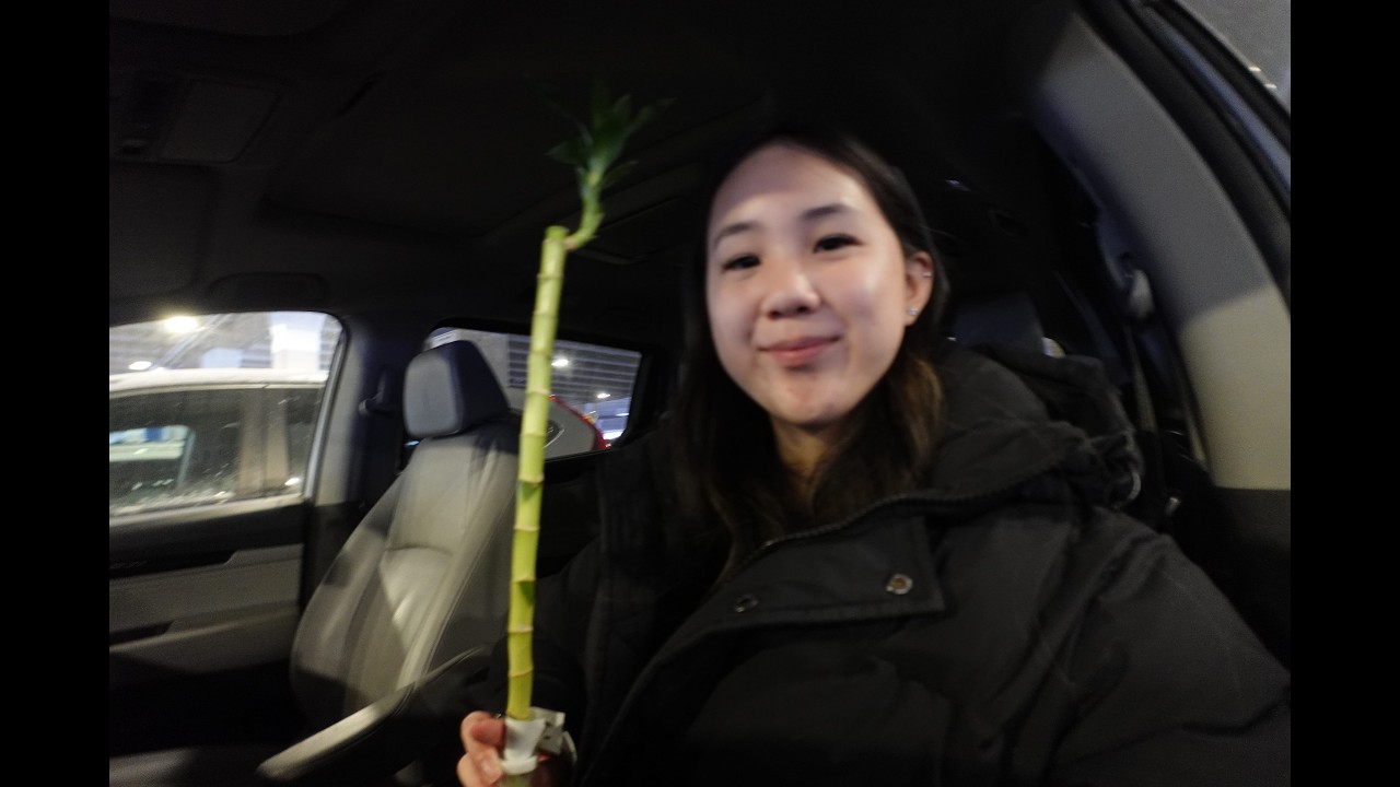 Amelia's Valentines Vlog