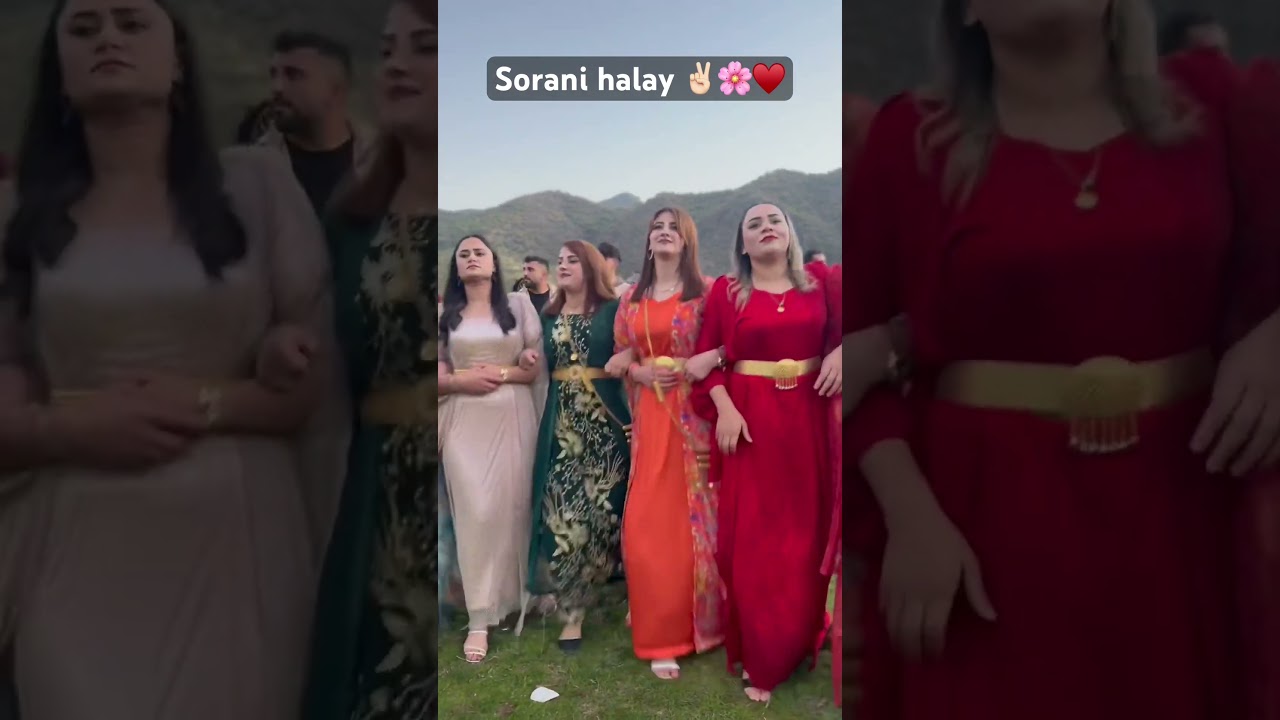 Sorani halay 🌸✌🏻 #halay #sorani #goranikurdi #kurdish #music #keşfet #beni&ouml;ne&ccedil;ıkart