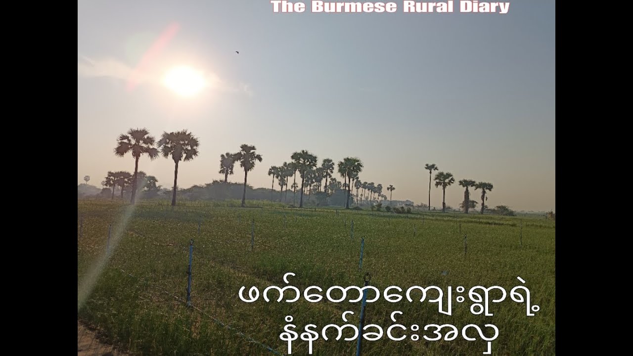 ​ကျေးလက်အလှ - ဖက်တောရွာ(Beauty of Phat Taw Village)