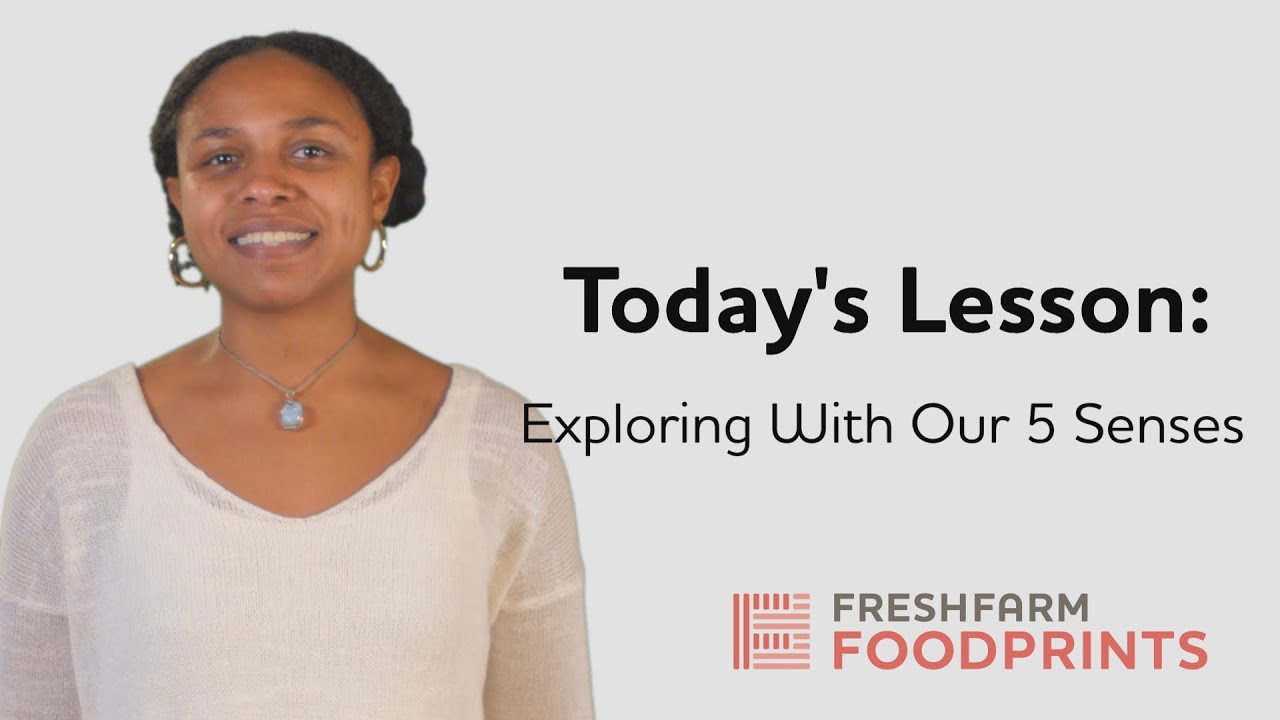 Exploring with Our 5 Senses | FRESHFARM FoodPrints