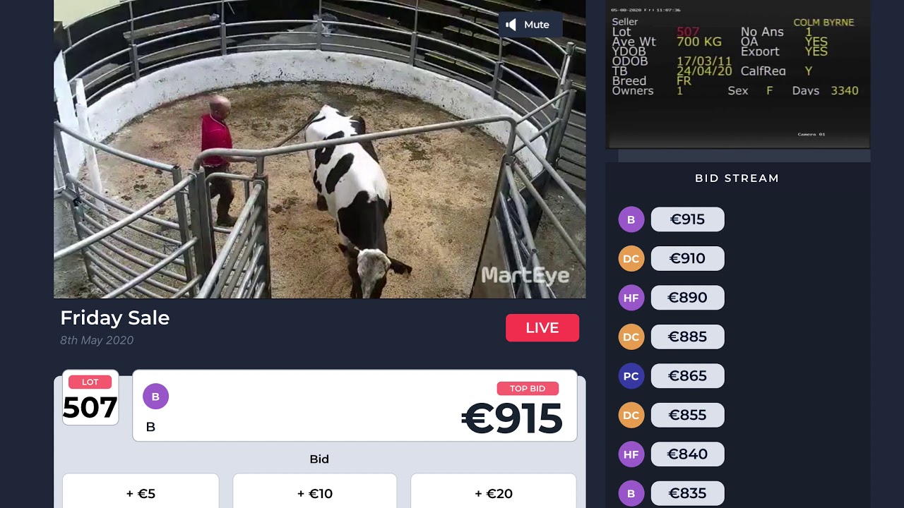 Online Marts: MartEye