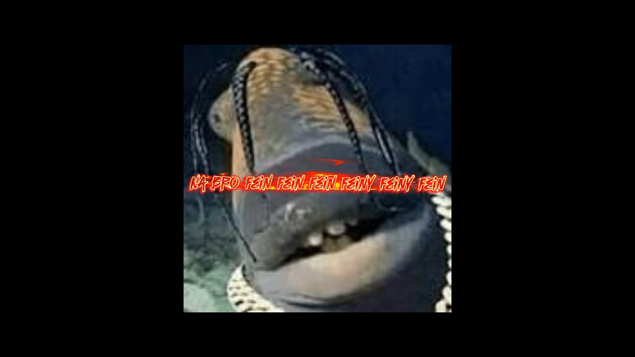 All fish flex battles be like #roblox #fisch #memes #meme