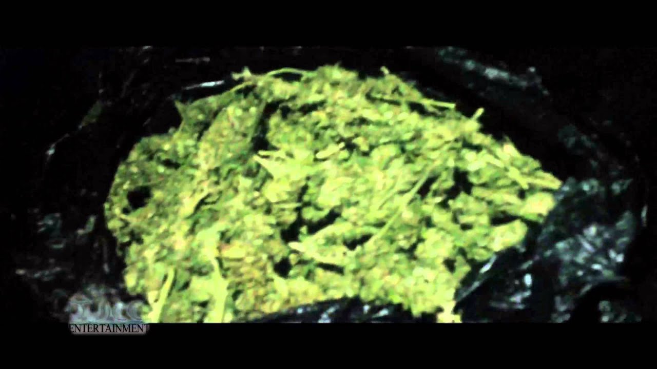 Real Jamaican Blue Mountain Kush