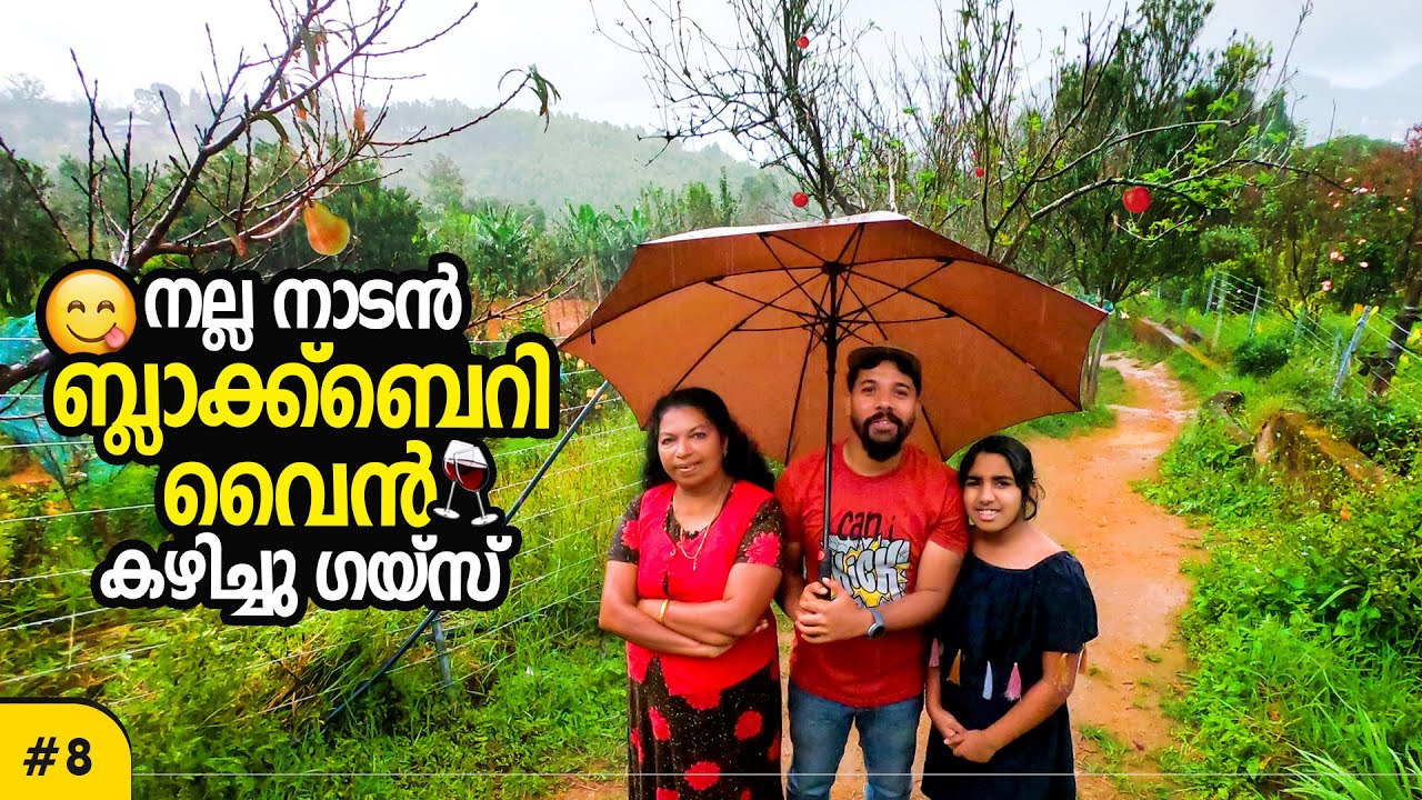Ep#08-വെറും 500 രൂപക്ക് അഞ്ചേക്കർ ആപ്പിൾ തോട്ടത്തിൽ താമസിക്കാം | Thoppans Orchard & Farm stay.