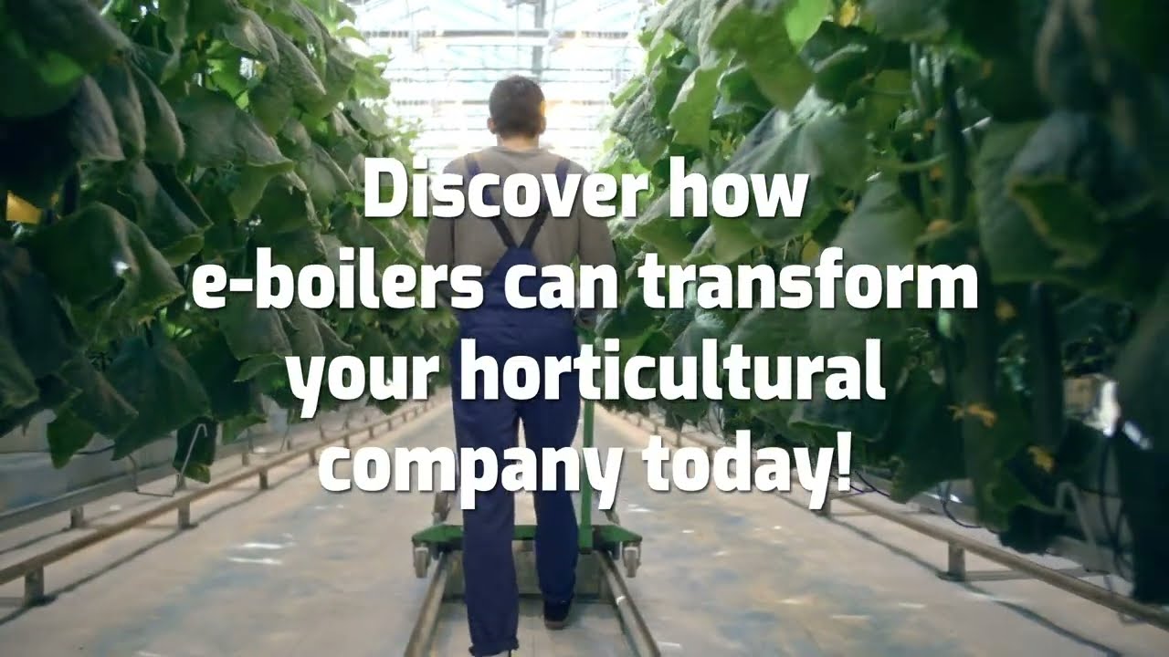 E-boilers the solution for an efficient energy mix in horticulture