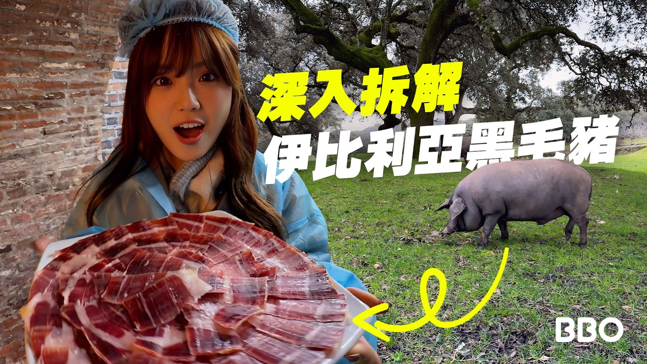 大揭秘！市面「伊比利亞火腿」，真正頂級原來只係極少數？｜#BBO｜#免費機位 #西班牙
