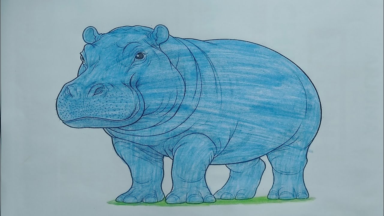 Realistic Hippopotamus Drawing & Painting | Step-by-Step Wildlife Art Tutorial