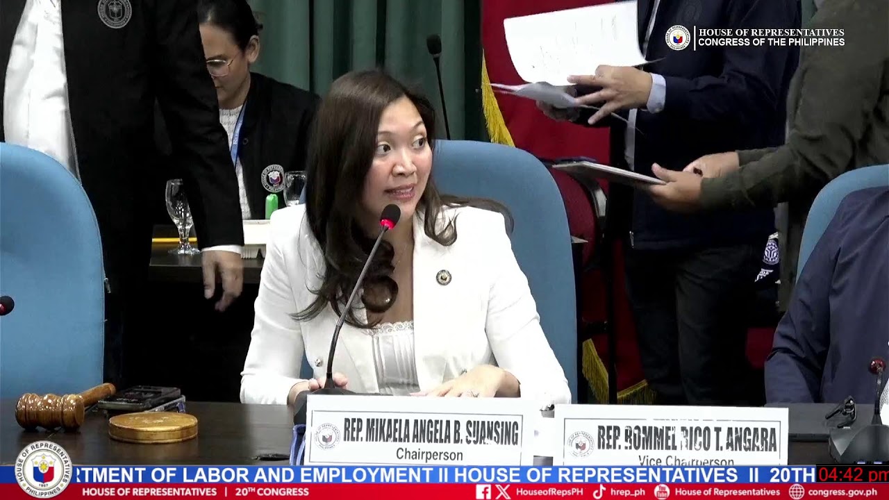COMMITTEE ON APPROPRIATION  (DEPARTMENT OF LABOR AND EMPLOYMENT )
