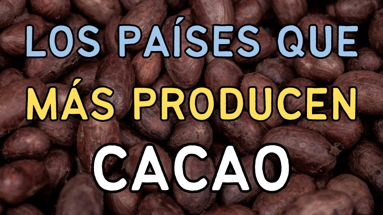 Estos Son Los 10 Países Que Más Producen Cacao 🍫