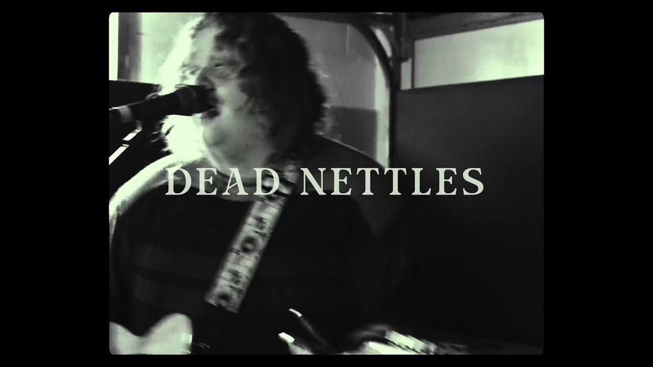 The Low Blow - Dead Nettles (LIVE at Pillowfort Studios)