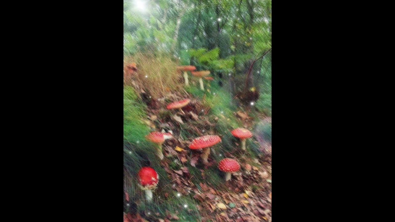 (free) frogcore x scumboi x ambient type beat - 