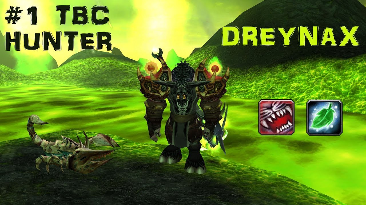 [TBC 2v2] Multiglads Hunter / Druid [BM/Resto 29.06.2017]