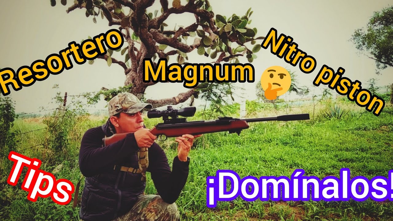 C&oacute;mo dominar rifles de resorte o NP tipo Magnum | S&aacute;cale su m&aacute;xima precisi&oacute;n.