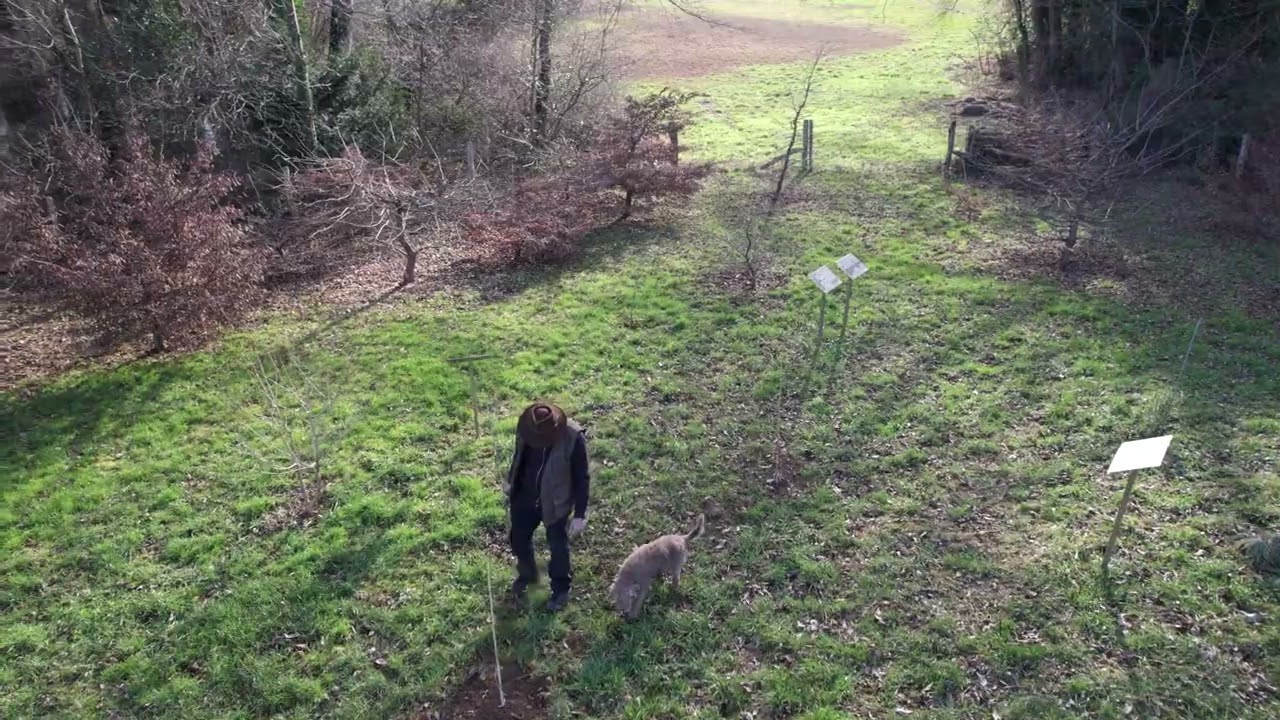 Drone Truffi&egrave;re Bonvillars 02 24