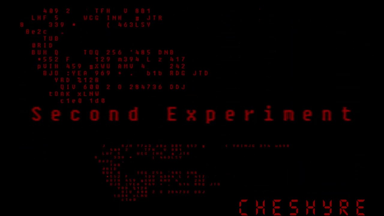 Second Experiment
