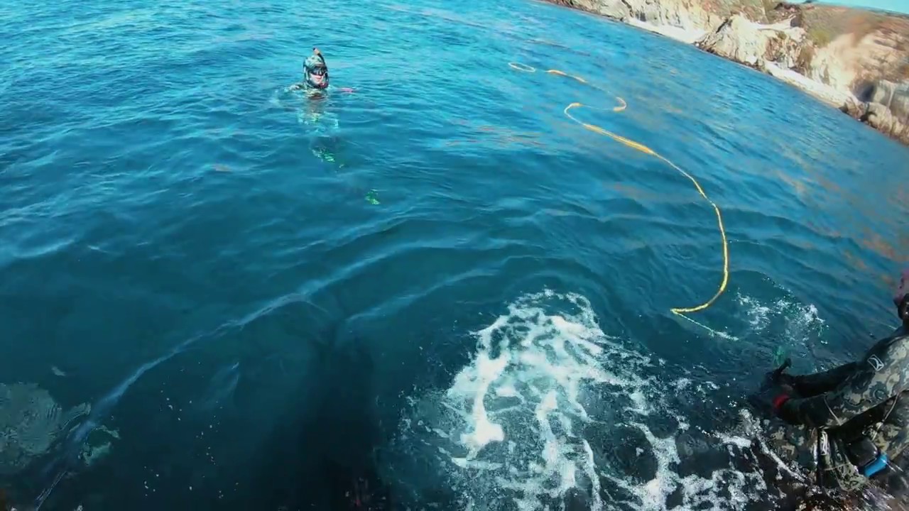 Octopus Cove, Big Sur Spearfishing