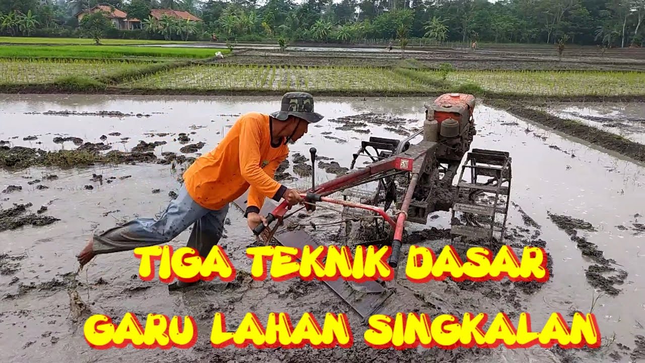 TEKNIK DASAR CARA GARU LAHAN SINGKALAN