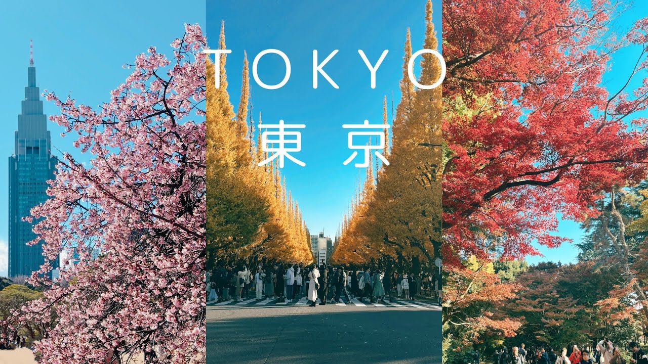 【東京】EP11 秋冬市區賞花點＋高cp燒肉｜2月居然有櫻花？！｜秋天絕美銀杏｜紅葉黃葉交錯的新宿御苑｜神宮外苑附近推薦燒肉｜銀杏｜楓葉｜早櫻︱六義園｜青山一丁目︱SUB︱中文