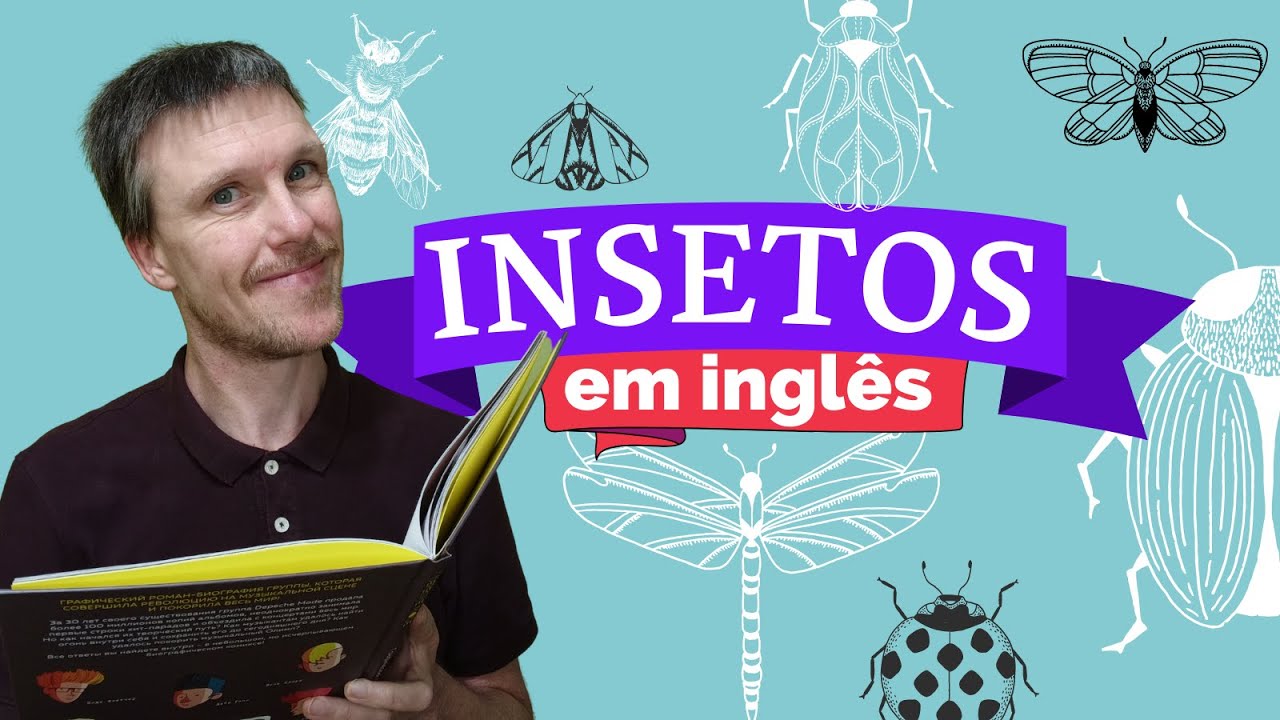 Insetos em Inglês