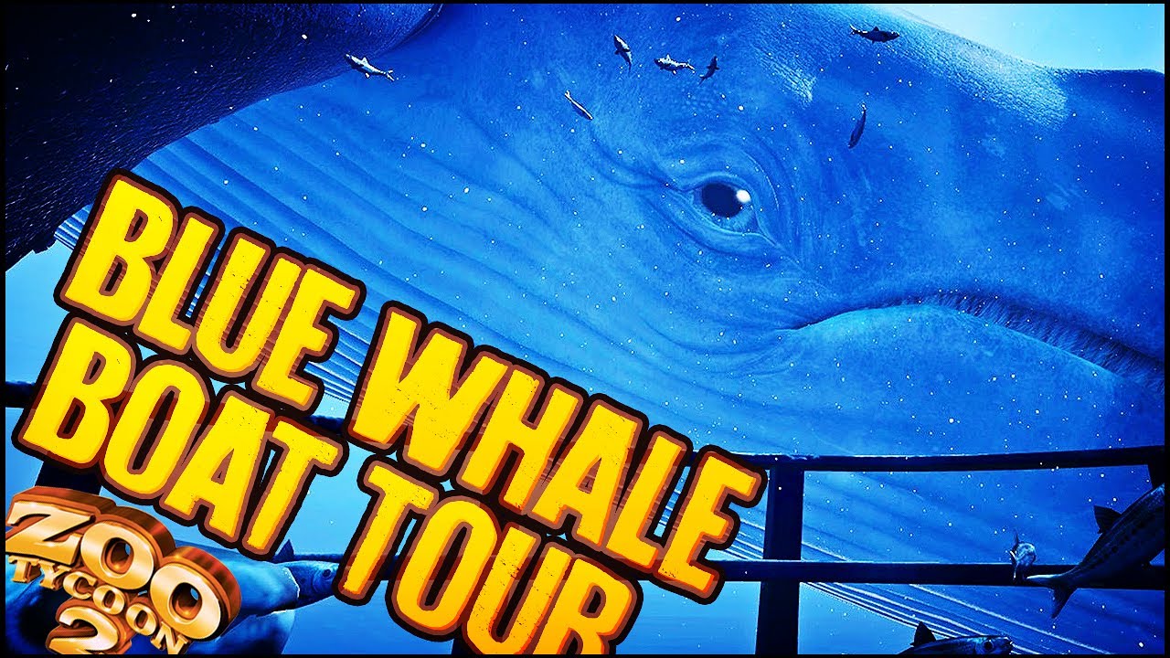 Zoo Tycoon 2: The Aquarium | BLUE WHALE BOAT TOUR (Aquarium Part 7)