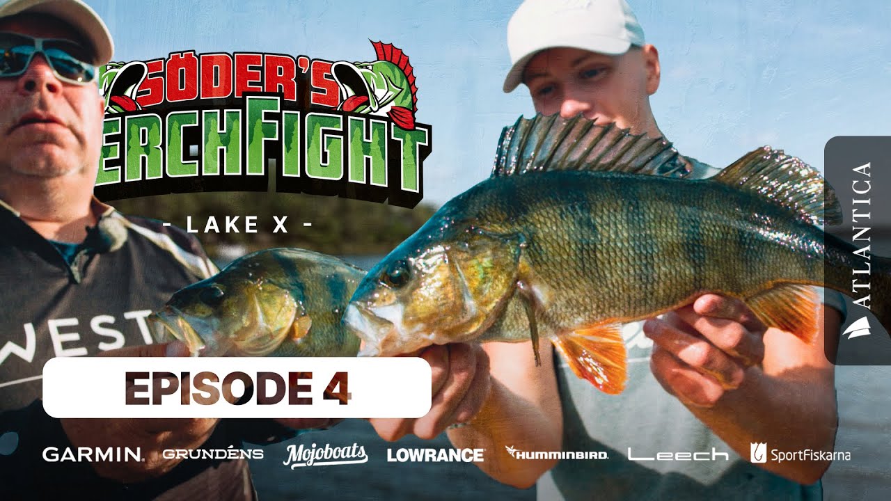 Perch Fight 2022 ep.4