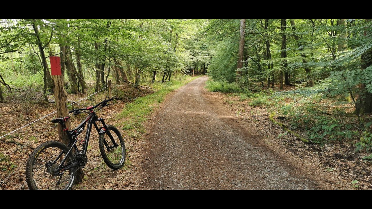 Wahner Heide
