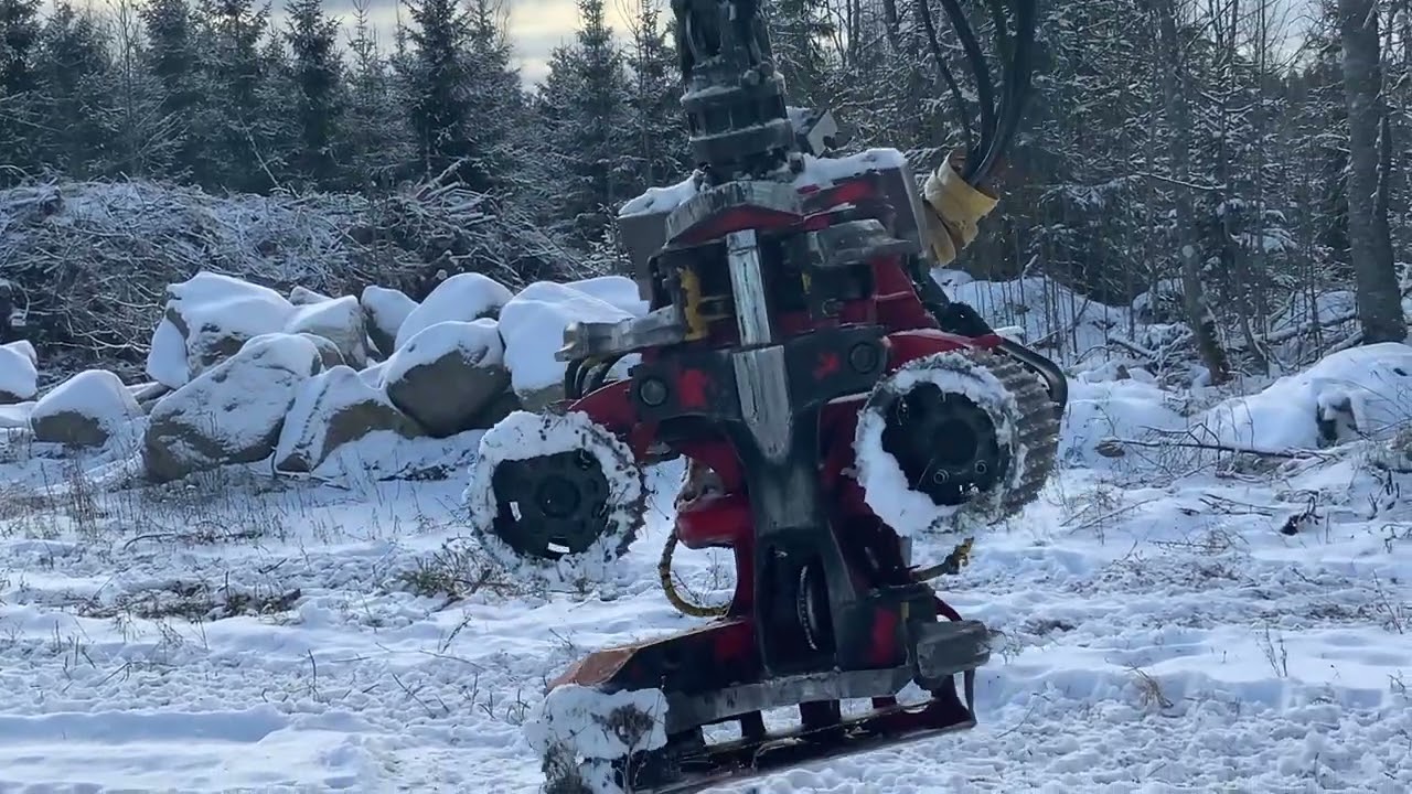 Köp Skördare CAT 550 på Klaravik