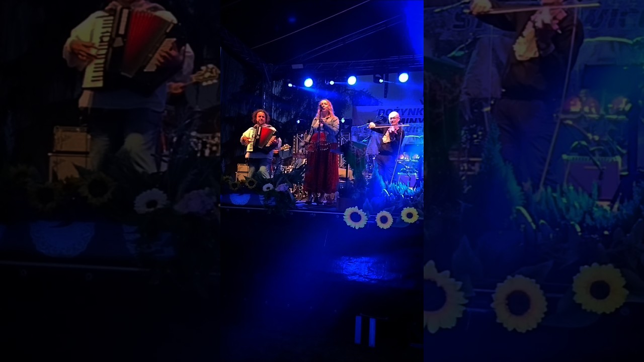 #folksong #gig #folk #folkmusic #folkmusician #gipsy #gipsymusic #accordion #violin #cygan #concert