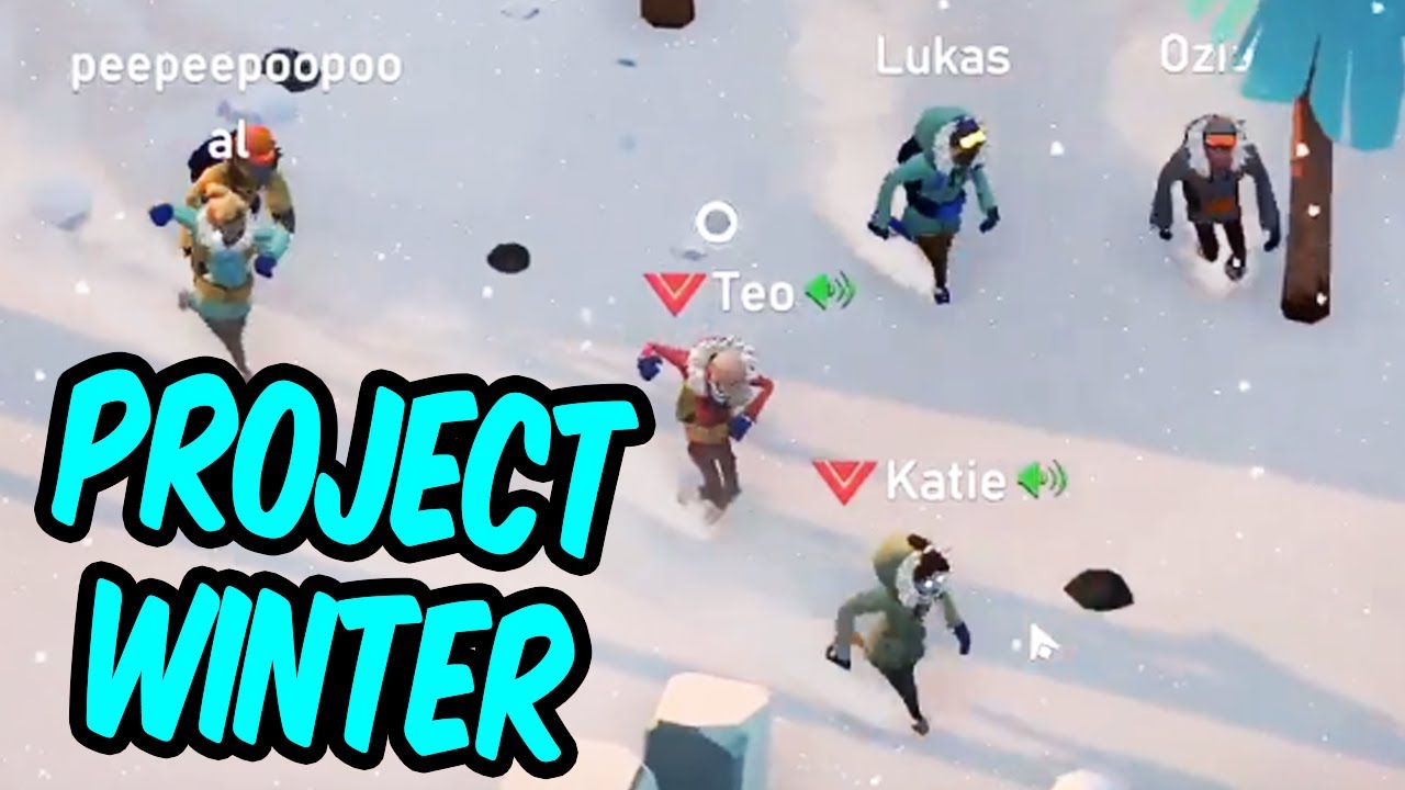 Teo plays Project Winter with friends