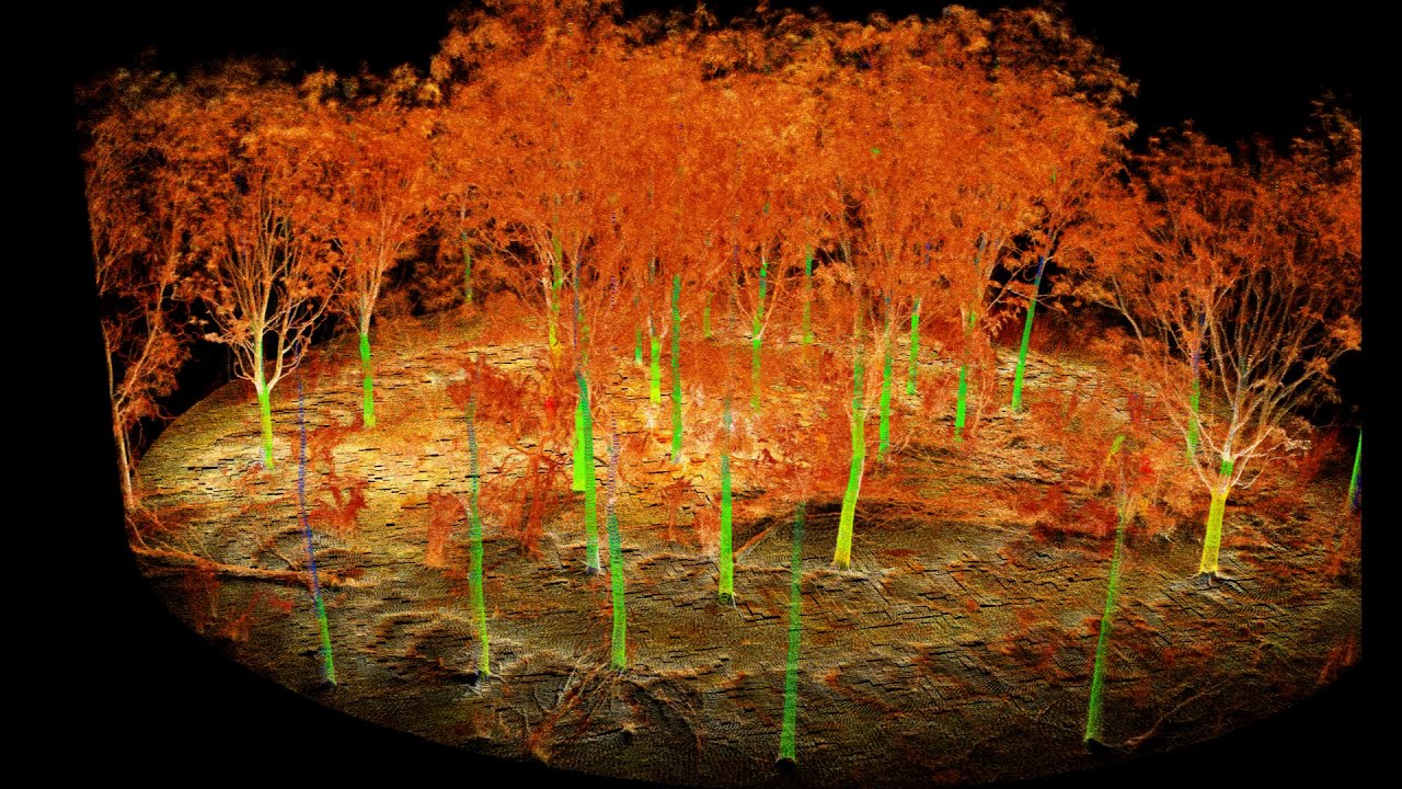 Innovation in Forest Inventory using Ultra-dense LiDAR