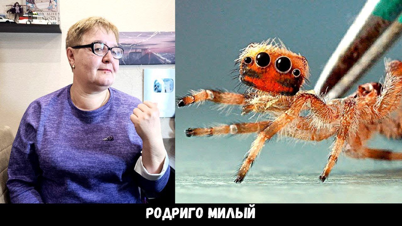 РЕАКЦИЯ МАМЫ НА [SlivkiShow - ЧТО-ТО ПРОИЗОШЛО С ПАУКОМ РОДРИГО]