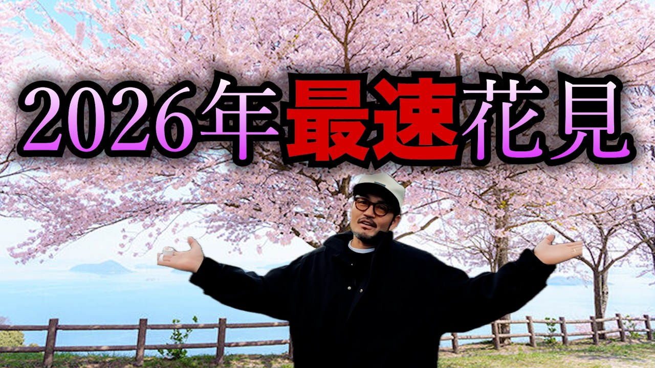 中目黒の花見ってこんな感じ？