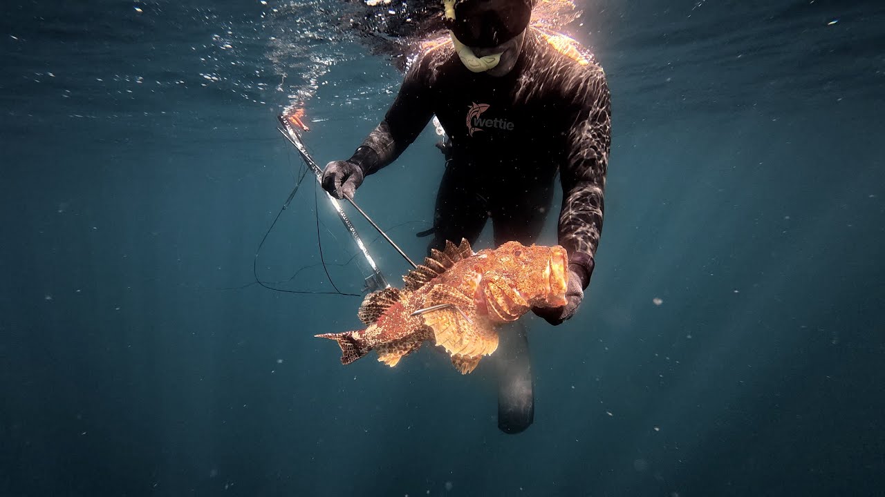Spearfishing Deep water species New Zealand
