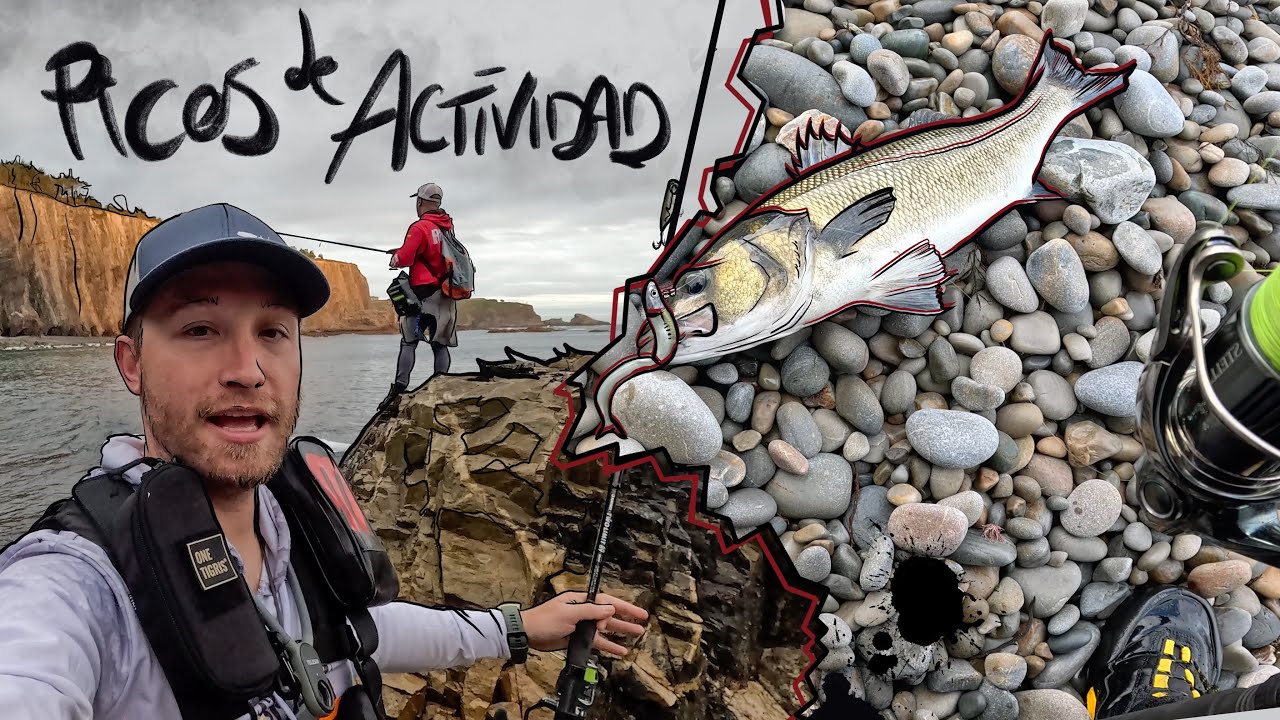 PESCA de LUBINAS a SPINNING LIGERO || ¡VAYA DOS MOMENTOS DE ACTIVIDAD!