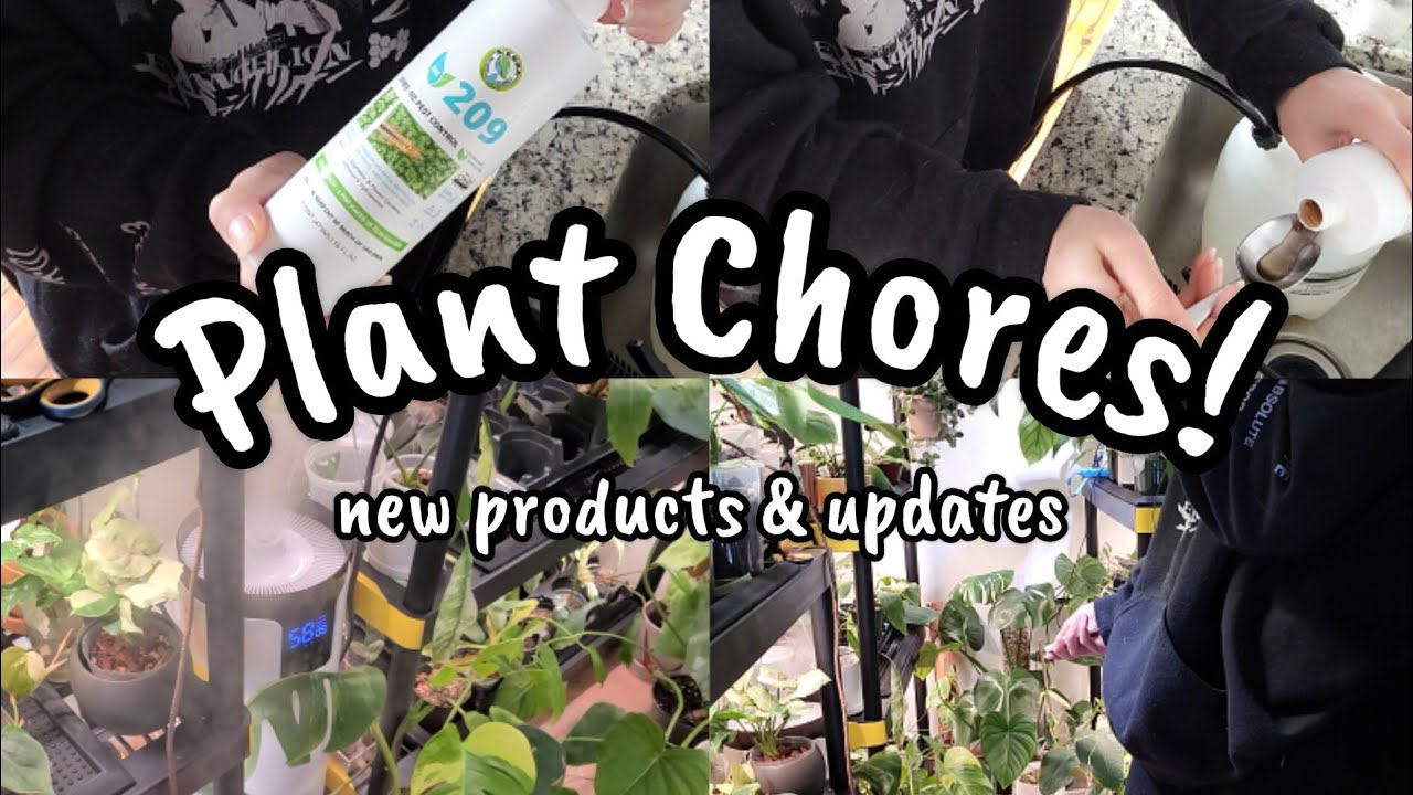 Pest Prevention & Care Day!! 🌿 new pesticide, humidifier update & end tables from The Home Cult 🩵✨️