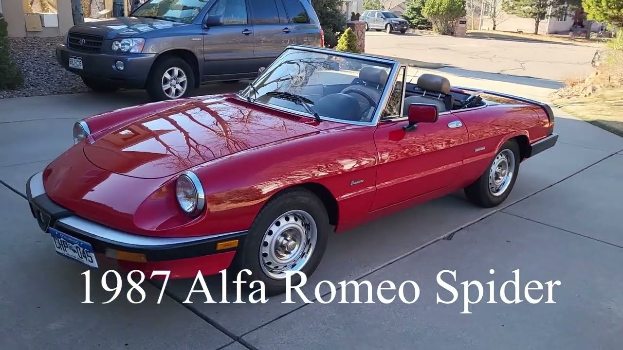 1987 Alfa Spider for sale