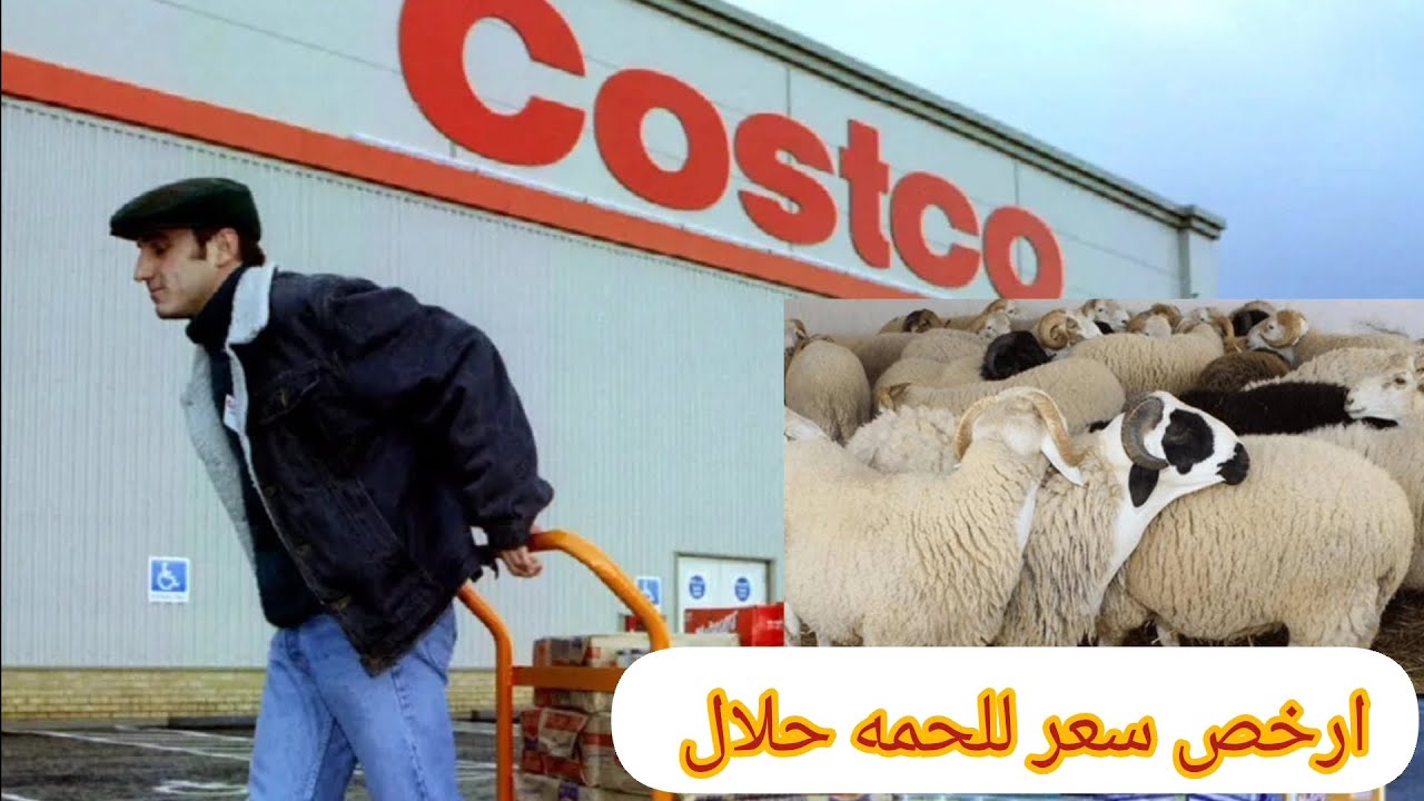 عيد الاضحي وأسعار الخرفان الحلال بأمريكا