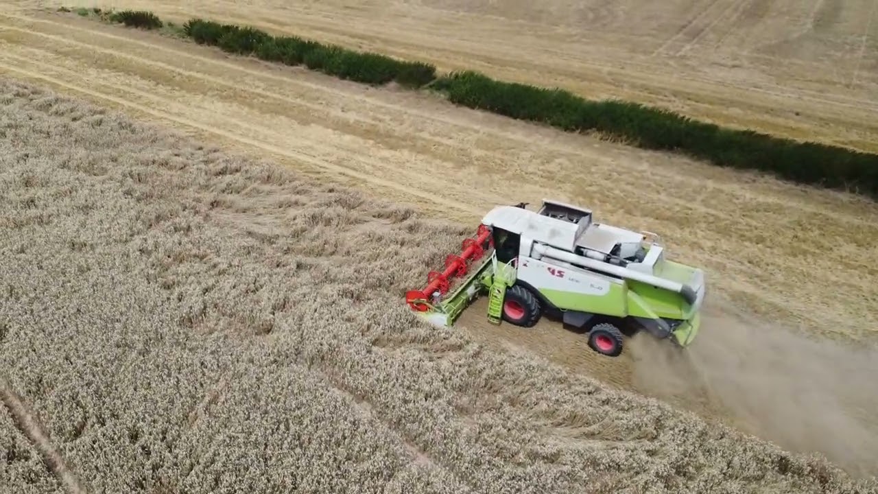 Masťa Class Lexion 550