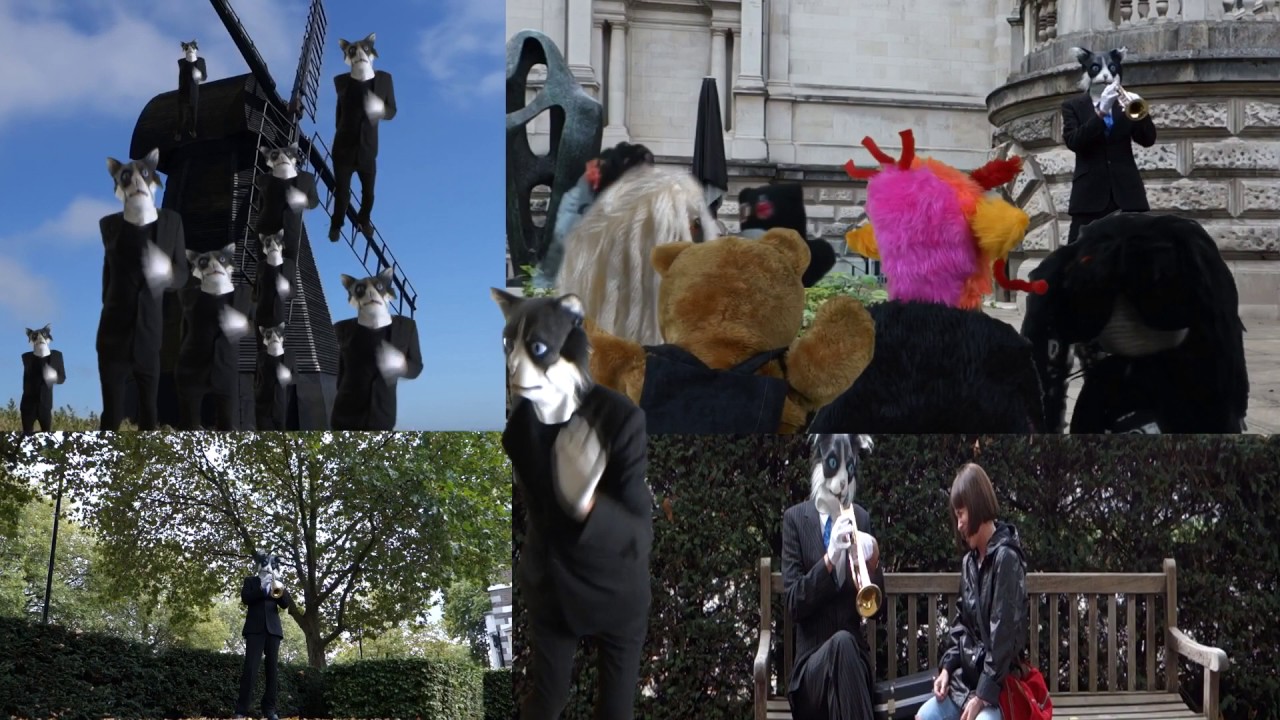 Tatecat