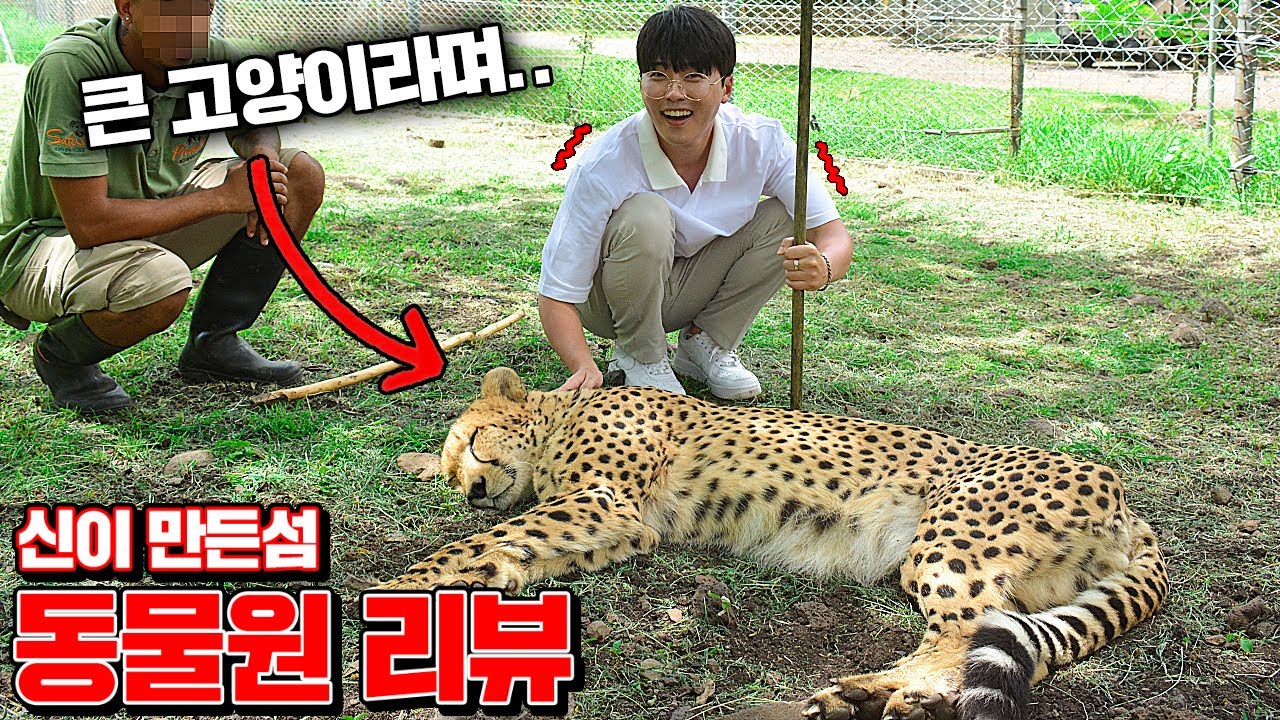천국이라 불리는 섬 동물원 리뷰!! (쥬라기수준..ㄷㄷ) [꾹TV]